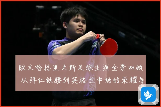 欧文哈格里夫斯足球生涯全景回顾 从拜仁铁腰到英格兰中场的荣耀与挑战