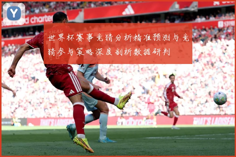 世界杯赛事竞猜分析精准预测与竞猜参与策略深度剖析数据研判