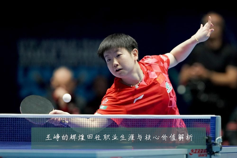 王峥的辉煌田径职业生涯与核心价值解析