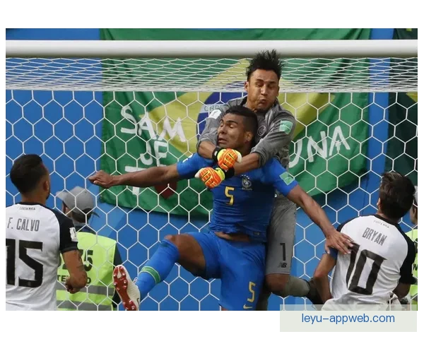 世界杯赛事全解析与投注技巧指南助你精准预测胜负